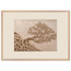 Root Lattice: petra and herbarium. Museum-quality framed fine art print.