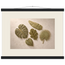 Green Constellation: botanical, green and loose rhythm. Museum-quality fine art poster.