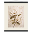 Gilded Magnolia: flowers and botanical. Fine art poster, alternate frame and size.