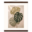 Stone Monstera: botanical and nature. Fine art poster by The Light Stays.