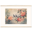 Camellia Birds, flowers and botanical. Archival fine art poster shown framed.