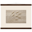 Wheat in Relief: faith, texture and botanical. Fine art poster by The Light Stays.