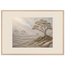 Old Growth, petra and herbarium. Archival framed fine art print shown framed.