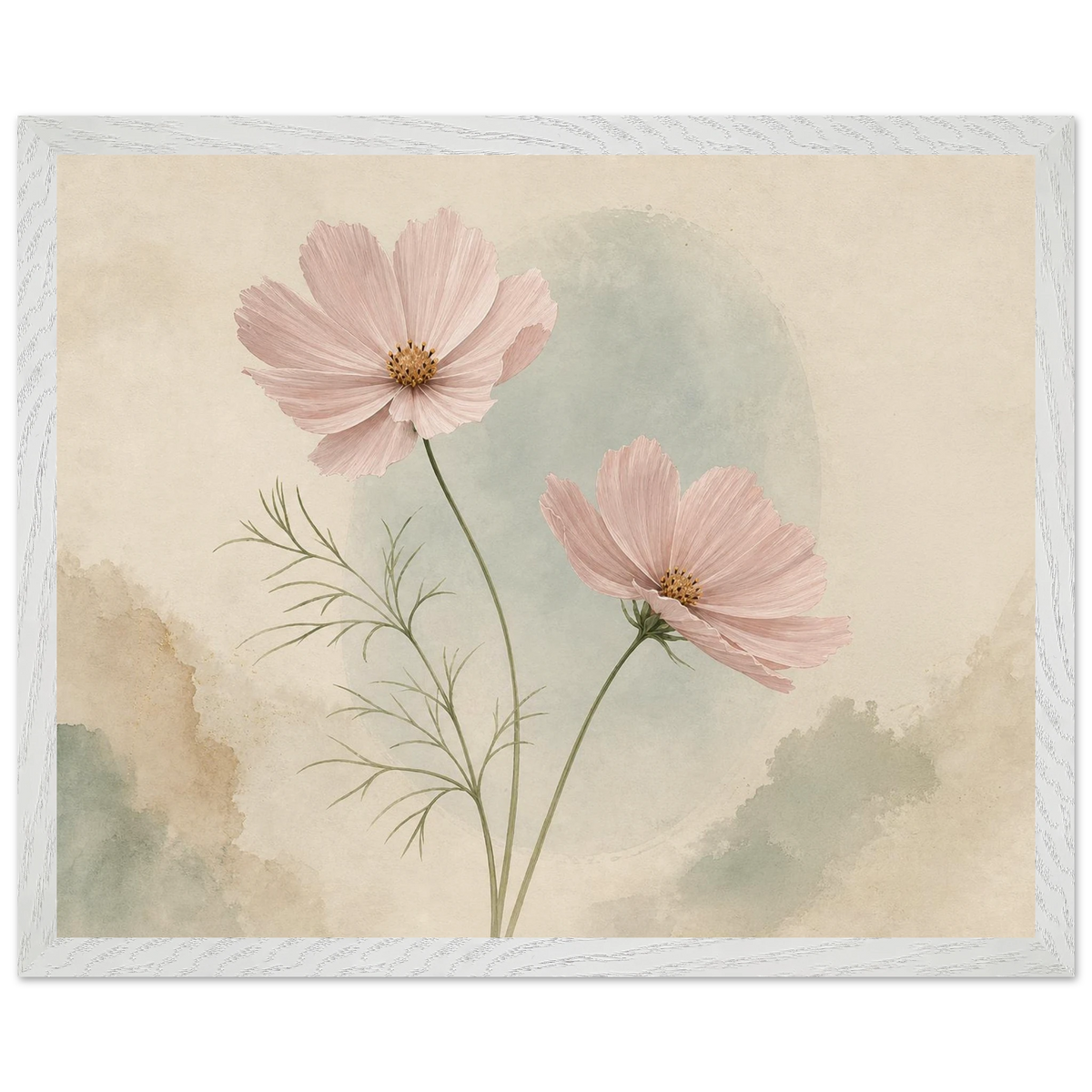 Cosmos Unison: flowers, blush and celadon. Framed fine art print by The Light Stays.