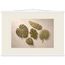 Green Constellation: botanical, green and loose rhythm. Museum-quality fine art poster.