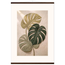 Stone Monstera, botanical and nature. Archival fine art poster shown framed.