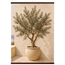 Olive Terrace: landscape and sun. Fine art poster by The Light Stays.