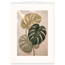 Stone Monstera: botanical and nature. Fine art poster by The Light Stays.