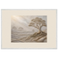 Old Growth: petra and herbarium. Museum-quality framed fine art print.