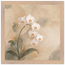 0f360614-6c82-430c-8178-e1e2bf48ef27