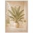 Courtyard Noon: landscape and sun. Framed fine art print by The Light Stays.