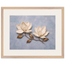 Bronze Magnolia: flowers and botanical. Framed fine art print, alternate frame and size.