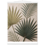 Carved Fronds: impasto, leaves and sand tones. Fine art poster by The Light Stays.
