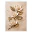 Magnolia Ascent: flowers and botanical. Fine art poster by The Light Stays.