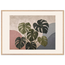 Monstera Sun: botanical and nature. Museum-quality framed fine art print.