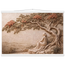 Under the Blossoms: petra and flora. Museum-quality fine art poster.