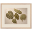Green Constellation, botanical, green and loose rhythm. Archival framed fine art print shown framed.