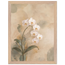 18cd720d-8869-4019-865b-6d706922bc6f