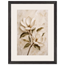 Gilded Magnolia: flowers and botanical. Framed fine art print.