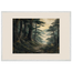 Cypress Passage: japanese art and japandi. Framed fine art print by The Light Stays.
