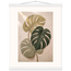 Stone Monstera: botanical and nature. Fine art poster by The Light Stays.