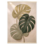 Stone Monstera: botanical and nature. Museum-quality fine art poster.