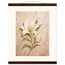 Alabaster Lily: flowers and botanical. Fine art poster, alternate frame and size.