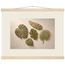 Green Constellation, botanical, green and loose rhythm. Archival fine art poster shown framed.