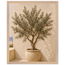 Olive Terrace: landscape and sun. Museum-quality framed fine art print.
