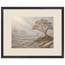 Old Growth: petra and herbarium. Framed fine art print by The Light Stays.