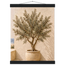 Olive Terrace: landscape and sun. Fine art poster by The Light Stays.