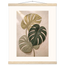 Stone Monstera, botanical and nature. Archival fine art poster shown framed.