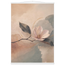 1ce1b396-a2be-44e0-9bec-d668d43a688a