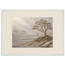 Old Growth, petra and herbarium. Archival framed fine art print shown framed.