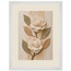 Carved Camellia: flowers and botanical. Framed fine art print by The Light Stays.