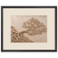 Root Lattice: petra and herbarium. Framed fine art print by The Light Stays.