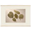 Green Constellation: botanical, green and loose rhythm. Fine art poster, alternate frame and size.