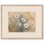 Chamomile Hours: flowers and botanical. Framed fine art print by The Light Stays.