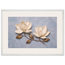Bronze Magnolia: flowers and botanical. Framed fine art print by The Light Stays.