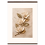 Magnolia Ascent, flowers and botanical. Archival fine art poster shown framed.
