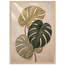 Stone Monstera: botanical and nature. Framed fine art print by The Light Stays.