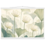 Ivory Lotus Screen: flowers and botanical. Fine art poster, alternate frame and size.