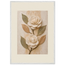 Carved Camellia: flowers and botanical. Framed fine art print by The Light Stays.