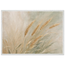 2aa858ae-69ee-491e-9d88-12b8cff0e3c7