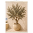Olive Terrace: landscape and sun. Fine art poster by The Light Stays.