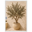 Olive Terrace: landscape and sun. Framed fine art print by The Light Stays.