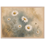 Chamomile Hours: flowers and botanical. Framed fine art print by The Light Stays.