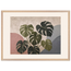 Monstera Sun: botanical and nature. Framed fine art print by The Light Stays.