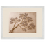 Lilac Reach: petra and flora. Framed fine art print by The Light Stays.