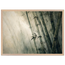 2e7f9a72-7fa4-4961-8905-e49d51ee7942